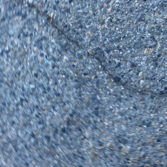 Meet your Posher, Shaina - Picture 1 of 1